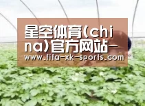 种植基地三
