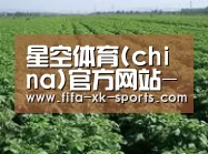 种植基地五(图1)