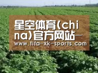 种植基地五