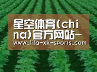 种植基地六(图1)