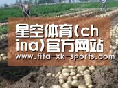 种植基地八