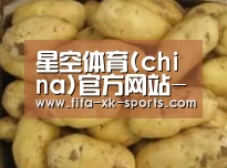 产品展示标题6