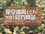 种植基地八(图1)