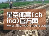 种植基地七(图1)