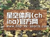 种植基地七