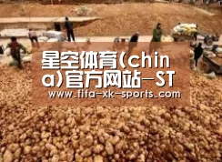 种植基地二