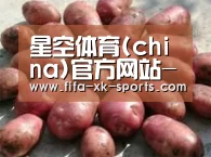 产品展示标题5(图1)