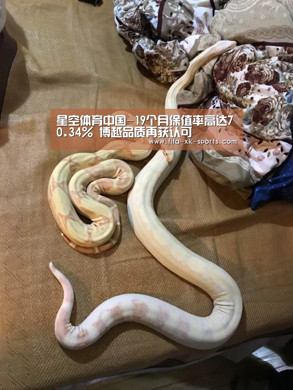 星空体育官网入口