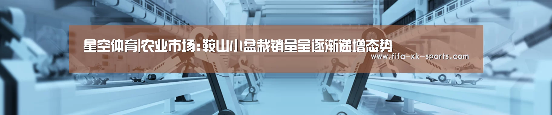 星空体育官网