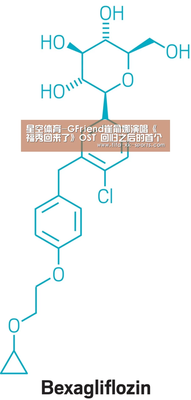 星空体育官网入口