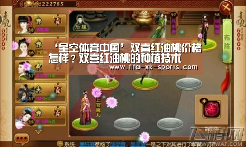 星空体育