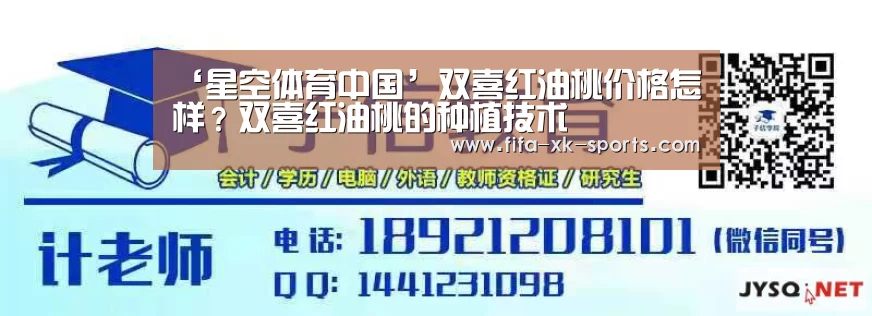 星空体育