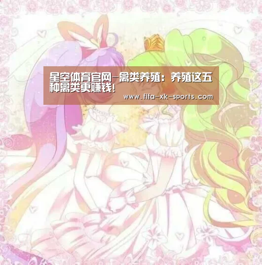 星空体育官网