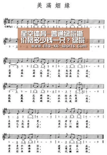 星空体育官网