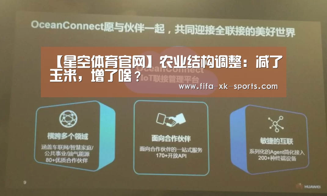 星空体育官网
