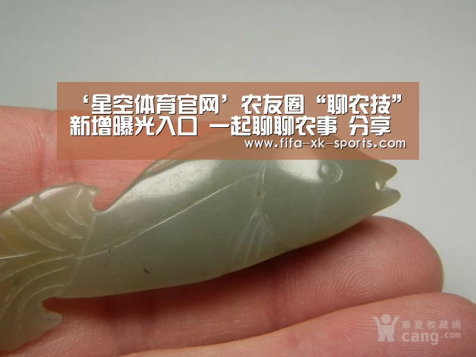 星空体育官网入口
