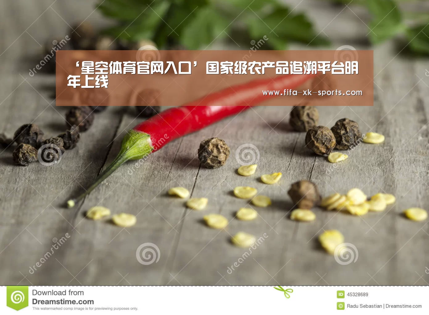 星空体育中国