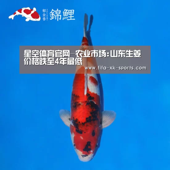 星空体育中国