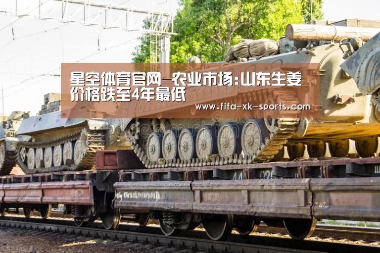 星空体育官网
