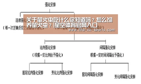 星空体育中国