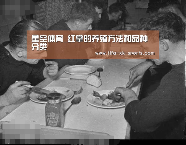 星空体育官网