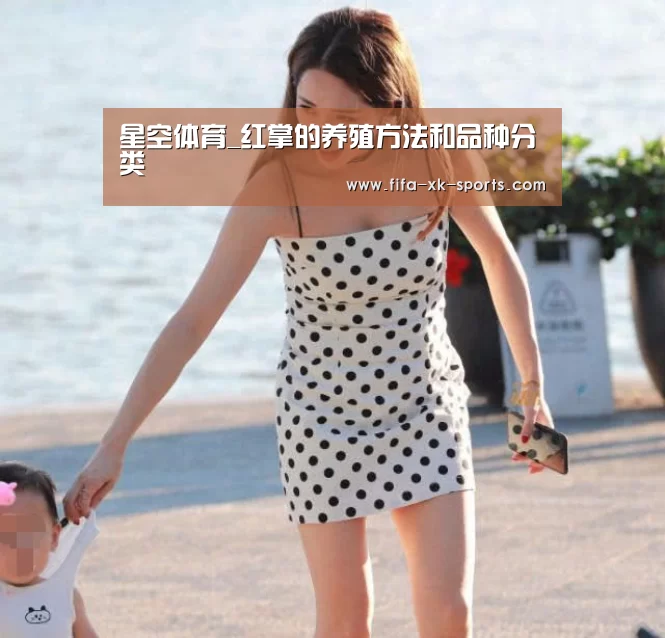 星空体育官网入口