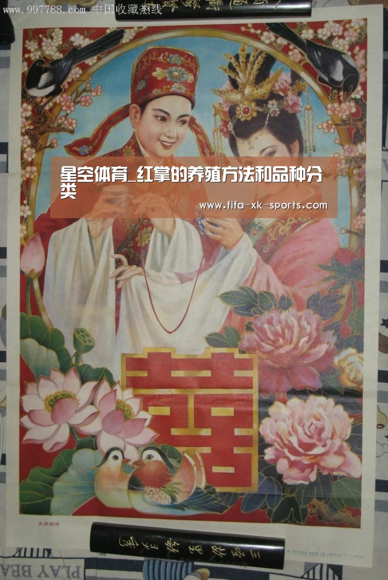 星空体育中国